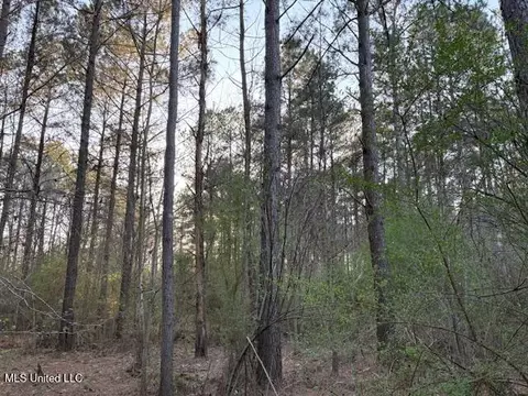 Old Jackson Road, Forest, MS 39074 photo 8
