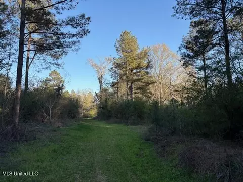 Old Jackson Road, Forest, MS 39074 photo 2