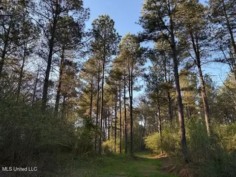 Old Jackson Road, Forest, MS 39074