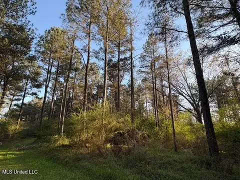 Old Jackson Road, Forest, MS 39074 photo 4