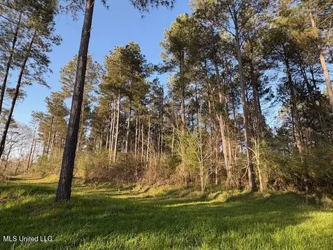 Old Jackson Road, Forest, MS 39074 photo 5