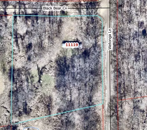 11119 Black Bear Cv, Hernando, MS 38632