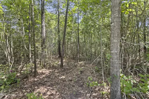 Other - 34 Cobb Rd, Wiggins, MS 39577 photo 6 of 7
