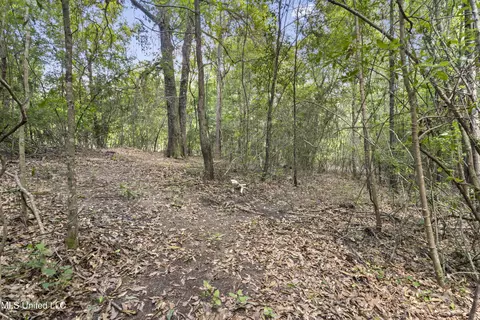 Exterior - 34 Cobb Rd, Wiggins, MS 39577 photo 4 of 6