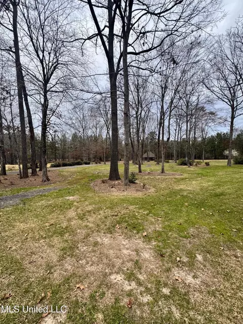 Fountains Cove, Brandon, MS 39047 photo 3