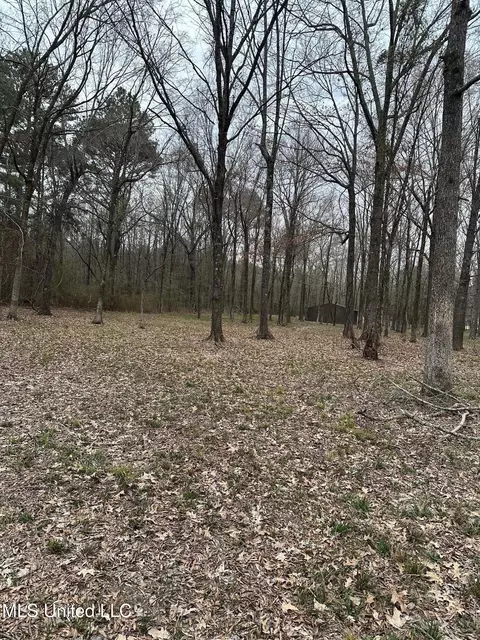 Fountains Cove, Brandon, MS 39047 photo 10