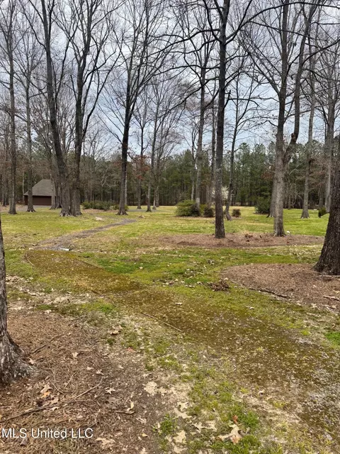Fountains Cove, Brandon, MS 39047 photo 4