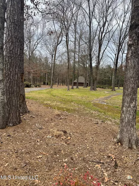 Fountains Cove, Brandon, MS 39047 photo 2