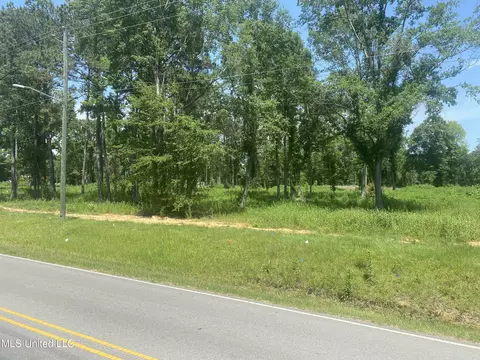 Hall Street, Wiggins, MS 39577 photo 3