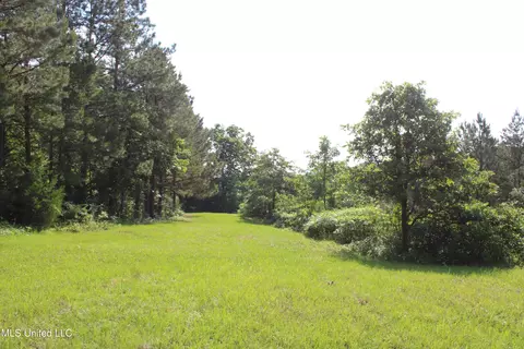 271 Winborn Tower Rd, Potts Camp, MS 38659 photo 24