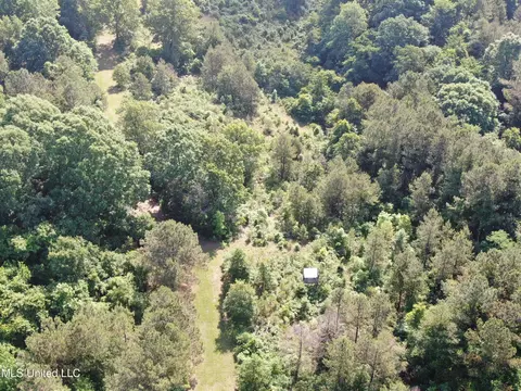 271 Winborn Tower Rd, Potts Camp, MS 38659 photo 4