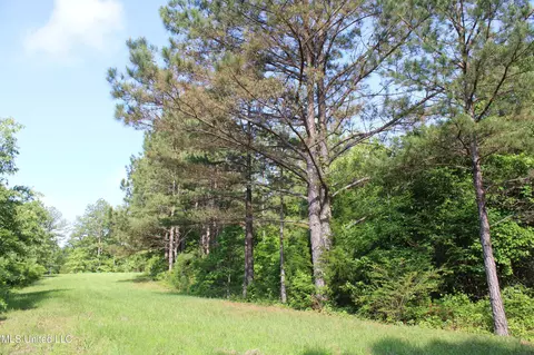 271 Winborn Tower Rd, Potts Camp, MS 38659 photo 58