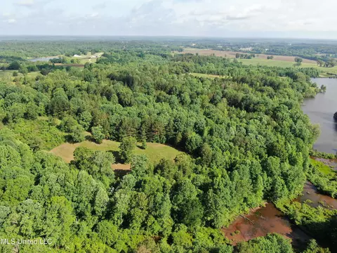 271 Winborn Tower Rd, Potts Camp, MS 38659 photo 6