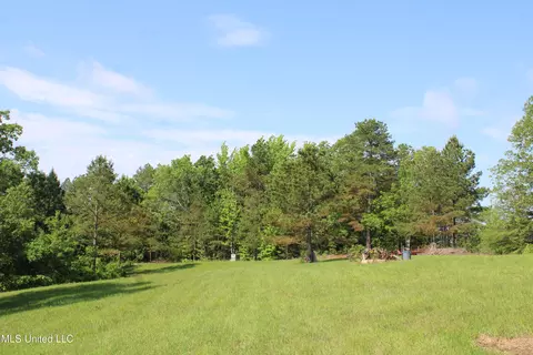 271 Winborn Tower Rd, Potts Camp, MS 38659 photo 41