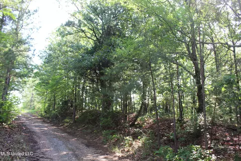 271 Winborn Tower Rd, Potts Camp, MS 38659 photo 45