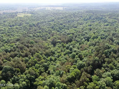 271 Winborn Tower Rd, Potts Camp, MS 38659 photo 8