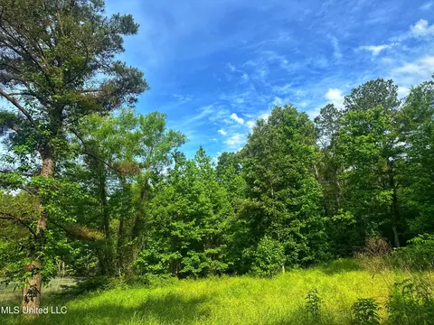 Marshall Road, Cruger, MS 38924 photo 8