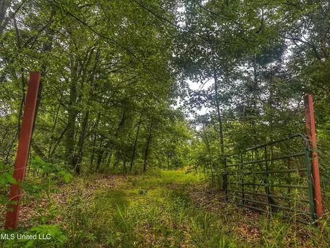 Marshall Road, Cruger, MS 38924 photo 3