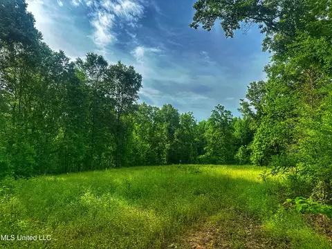 Marshall Road, Cruger, MS 38924 photo 4