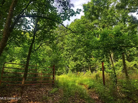 Marshall Road, Cruger, MS 38924 photo 21