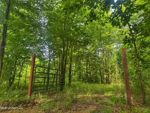 Marshall Road, Cruger, MS 38924 photo 13