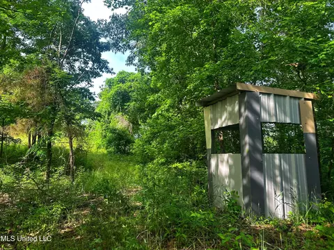 Marshall Road, Cruger, MS 38924 photo 11