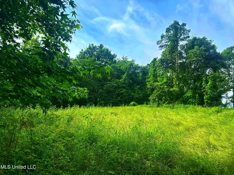 Marshall Road, Cruger, MS 38924 photo 12