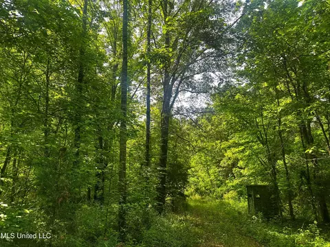 Marshall Road, Cruger, MS 38924 photo 16