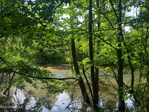 Marshall Road, Cruger, MS 38924 photo 10