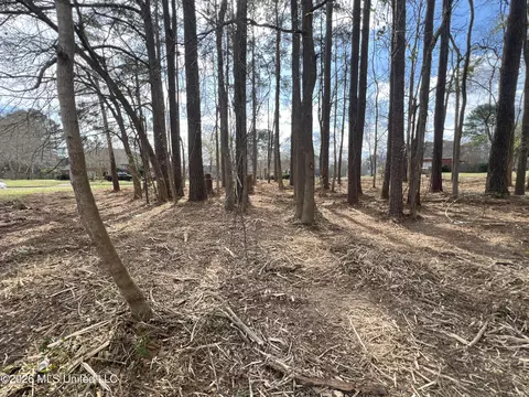 Thorngate Drive, Brandon, MS 39042 photo 10