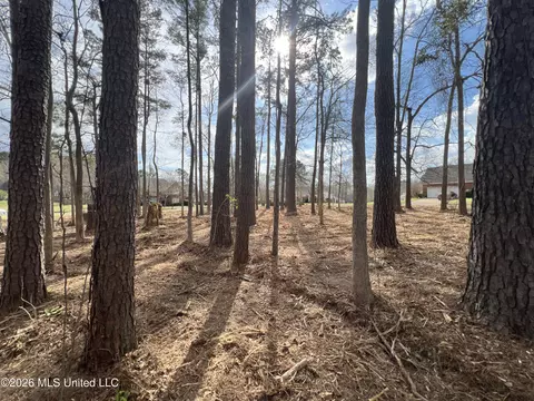 Thorngate Drive, Brandon, MS 39042 photo 9