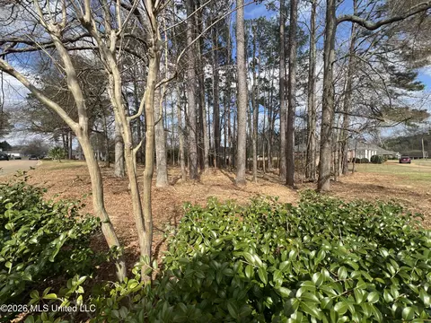 Thorngate Drive, Brandon, MS 39042 photo 7