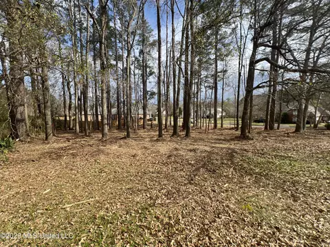 Thorngate Drive, Brandon, MS 39042 photo 8