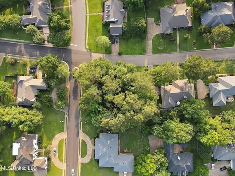 Thorngate Drive, Brandon, MS 39042 photo 3