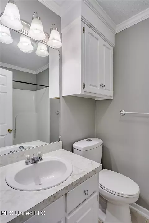 Bath - 128 Chestnut Dr, Brandon, MS 39047 photo 3 of 3