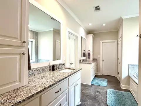 256 Penny Ln, Brandon, MS 39042 photo 23