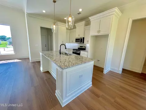 Kitchen - 452 Aurora Cir, Canton, MS 39046 photo 3 of 3