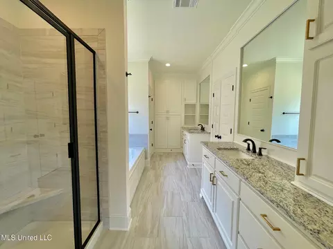Bath - 452 Aurora Cir, Canton, MS 39046 photo 5 of 7