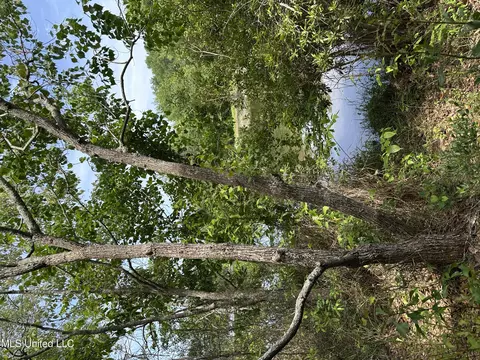 00 Springfield Dr, Lumberton, MS 39455