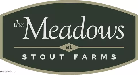 Stout Meadows Lane, Madison, MS 39110 photo 2
