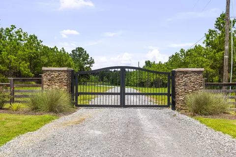 Stout Meadows Lane, Madison, MS 39110 photo 3