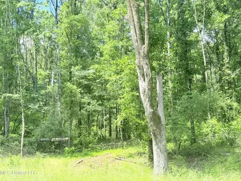 Stout Meadows Lane, Madison, MS 39110
