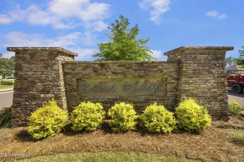 Other - 219 Bellamy Ct, Flowood, MS 39232 photo 7 of 7