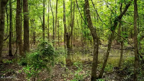 7398 Amon Hill Rd, Bastrop, MS 71220