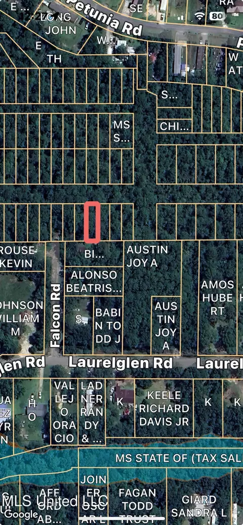 Nhn Lot 12, Gautier, MS 39553