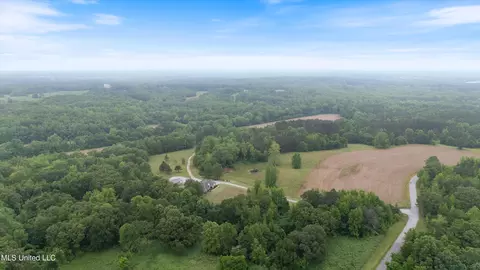 View/Area - 901 Mill Pond Rd, Lamar, MS 38642 photo 2 of 3