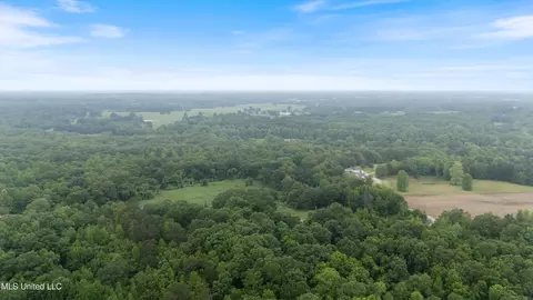 Other - 901 Mill Pond Rd, Lamar, MS 38642 photo 15 of 18