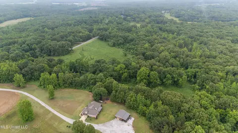 View/Area - 901 Mill Pond Rd, Lamar, MS 38642 photo 3 of 3