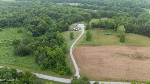 View/Area - 901 Mill Pond Rd, Lamar, MS 38642 photo 1 of 3