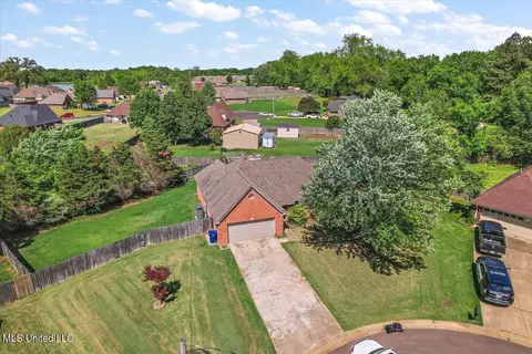 View/Area - 6800 E Ranch Ridge Cv, Walls, MS 38680 photo 12 of 12